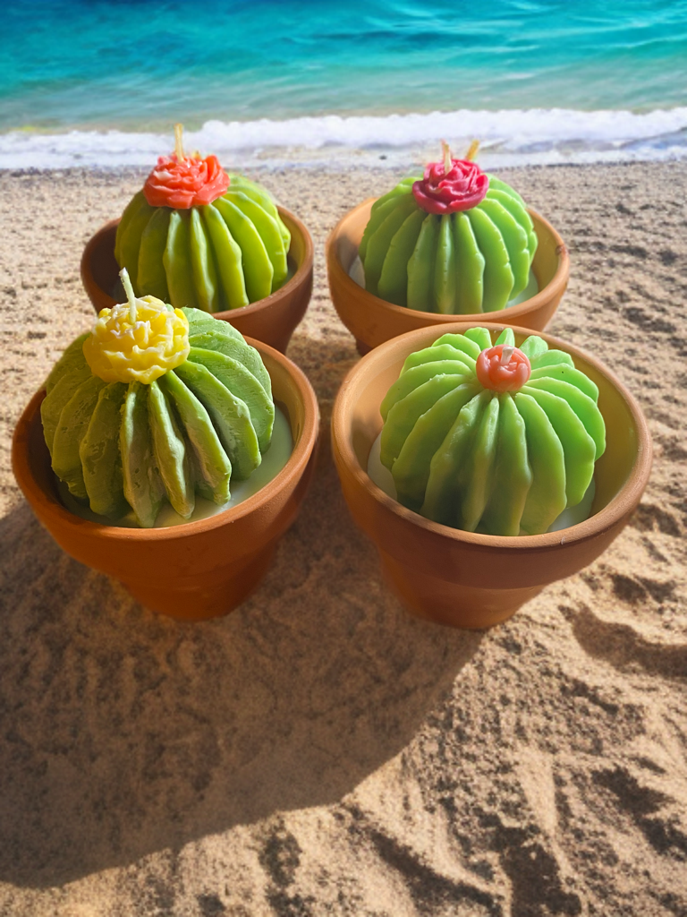 Succulent Candle Pot