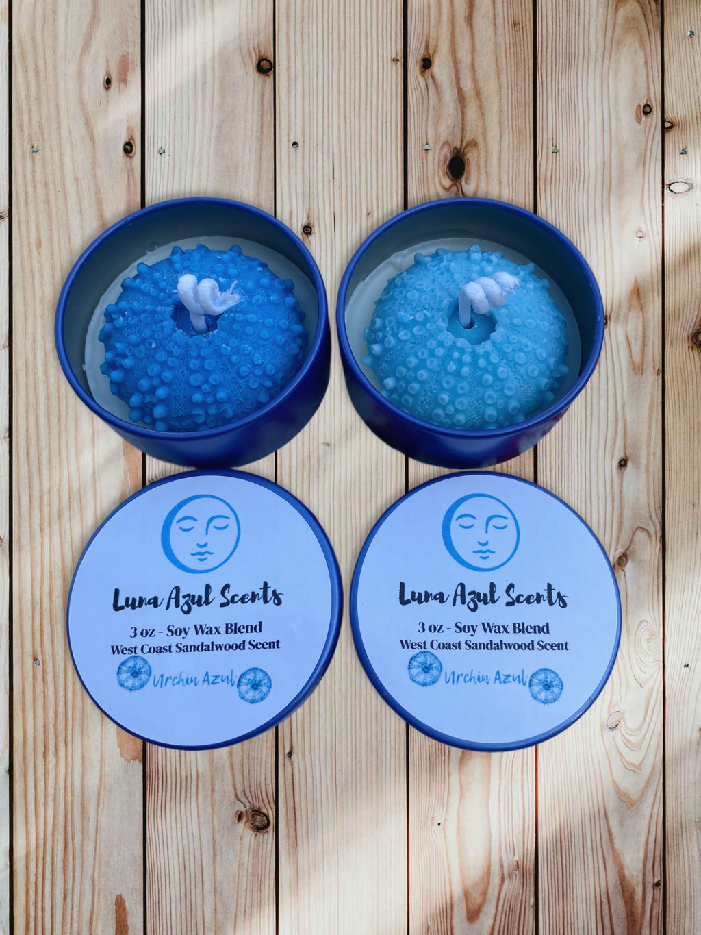 Urchin Azul (Pair)