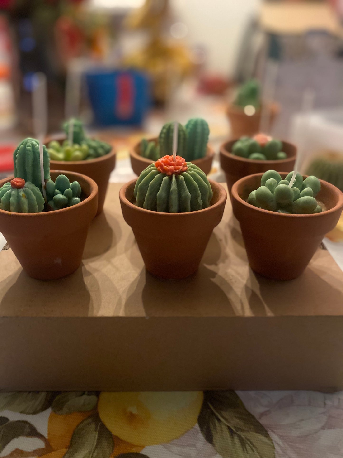 Succulent Candle Pot