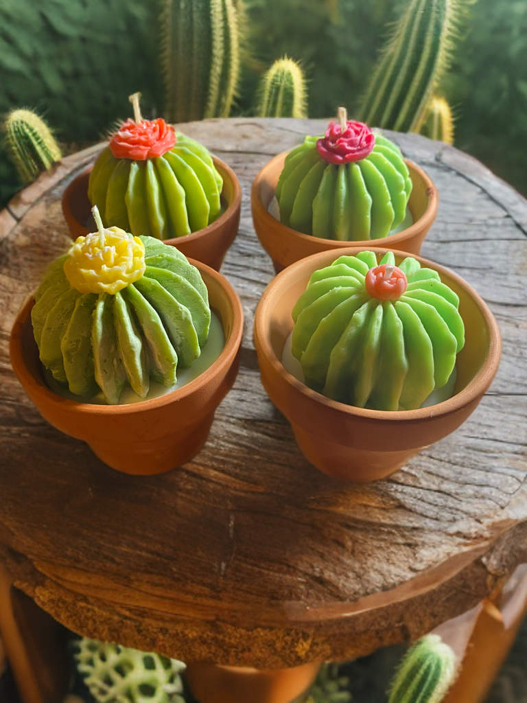 Succulent Candle Pot