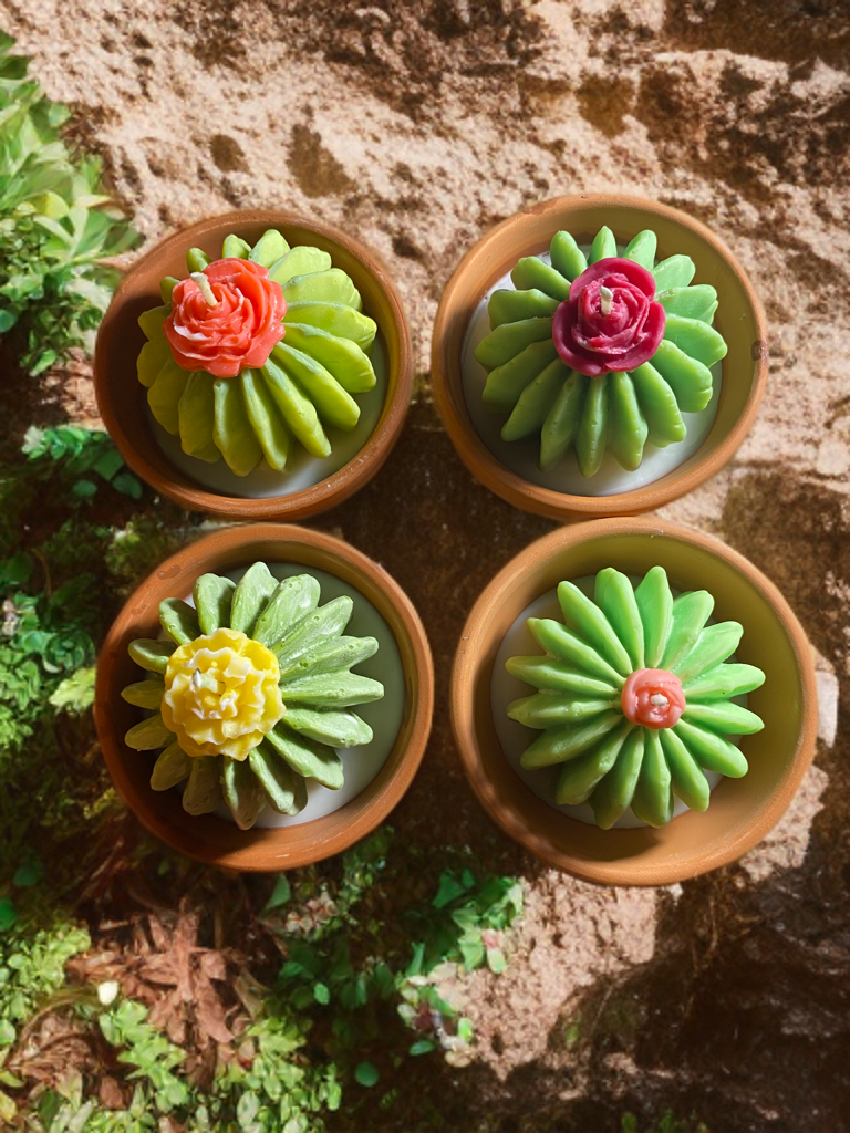 Succulent Candle Pot
