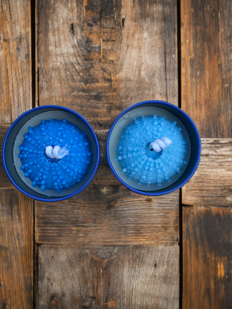Urchin Azul (Pair)